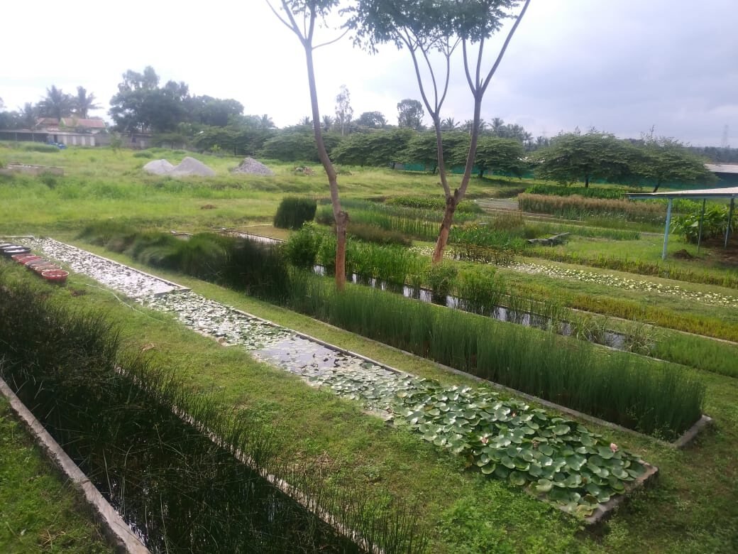 The Water Nursery, Hunsur, Karnataka