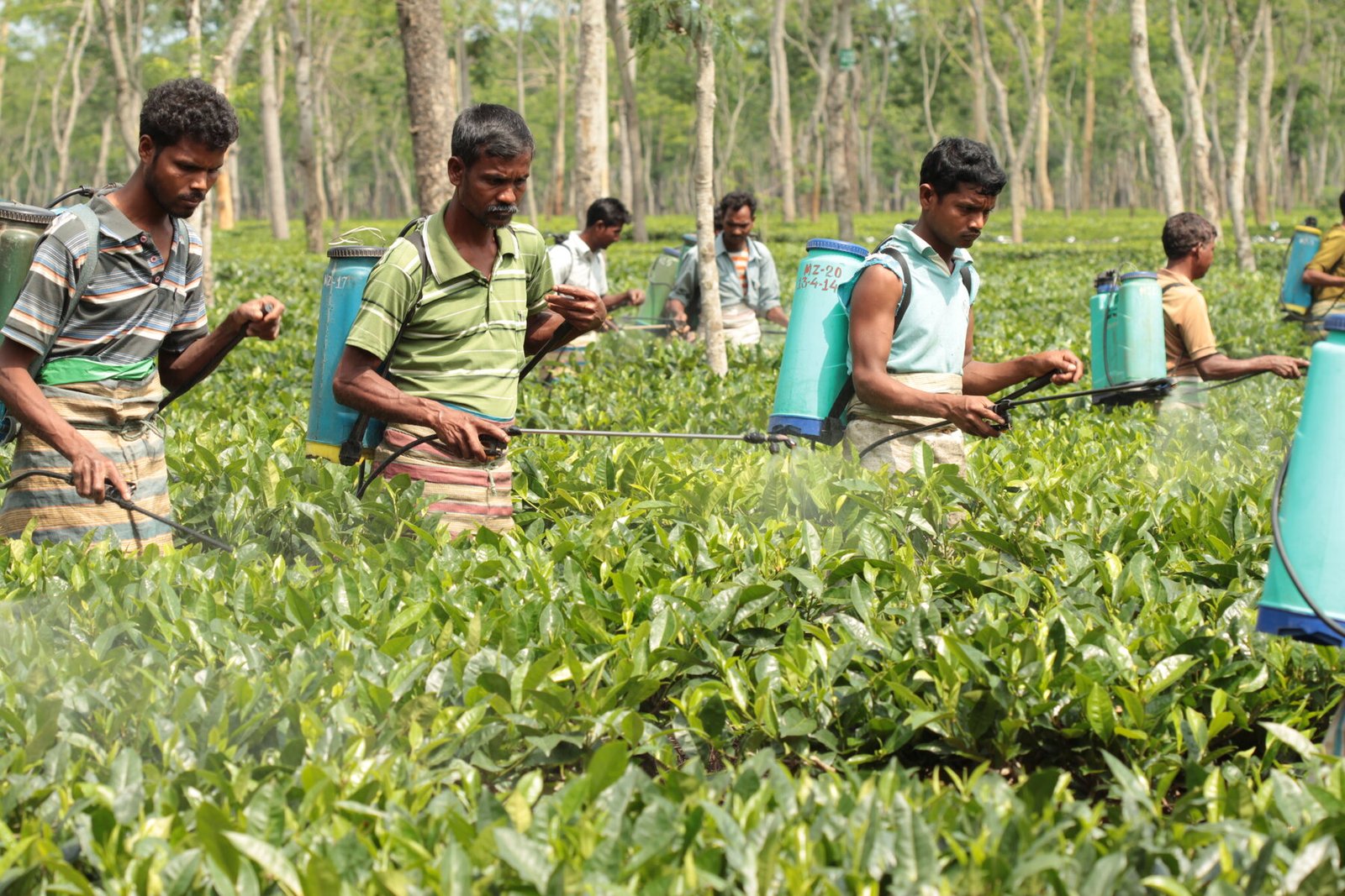 Goodricke Group project