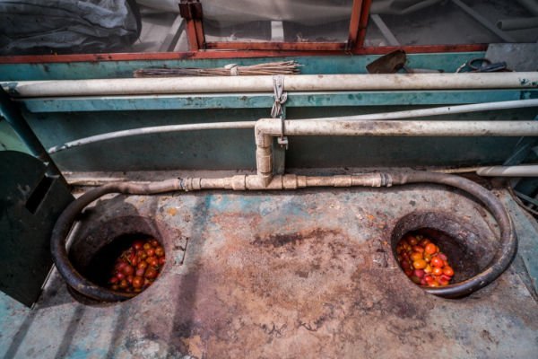 Organic food waste entering the NJK system