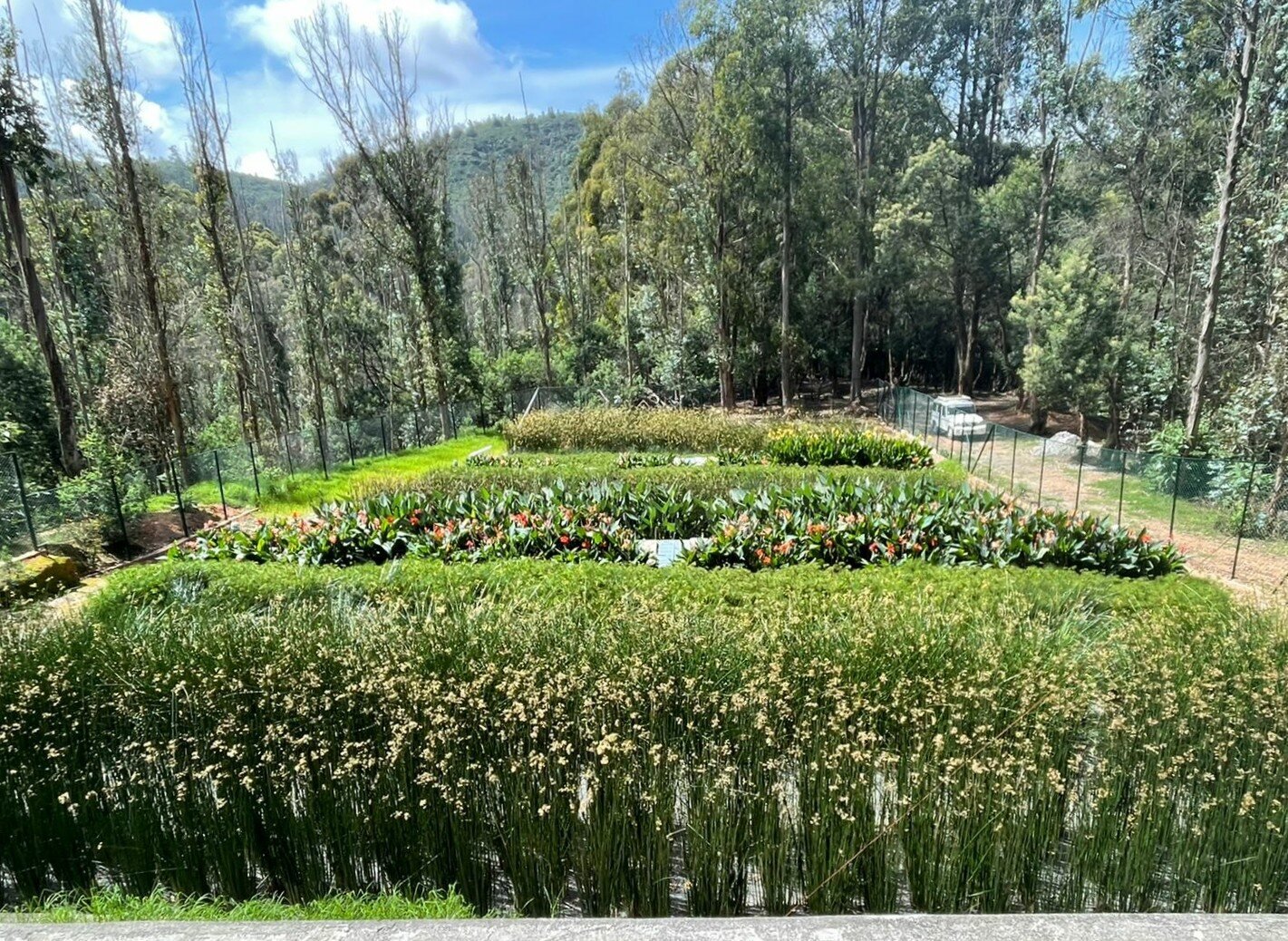 The constructed wetland treatment system at Lawrence School, Lovedale