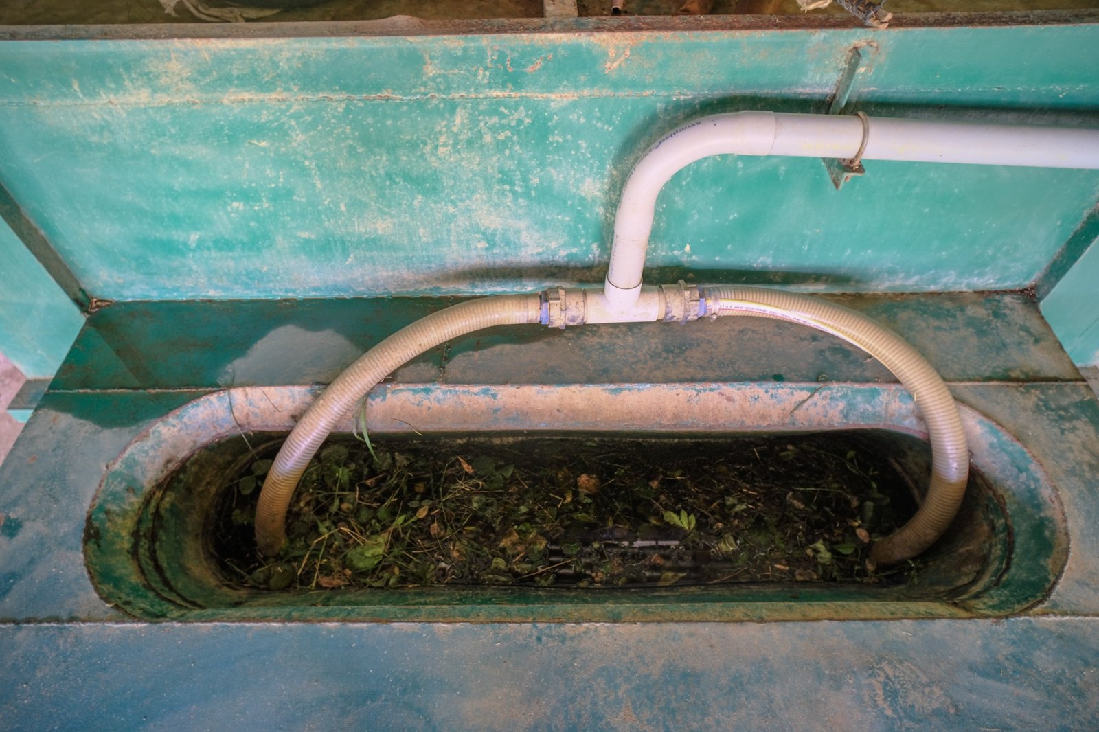 Wet and dry waste separated before processing