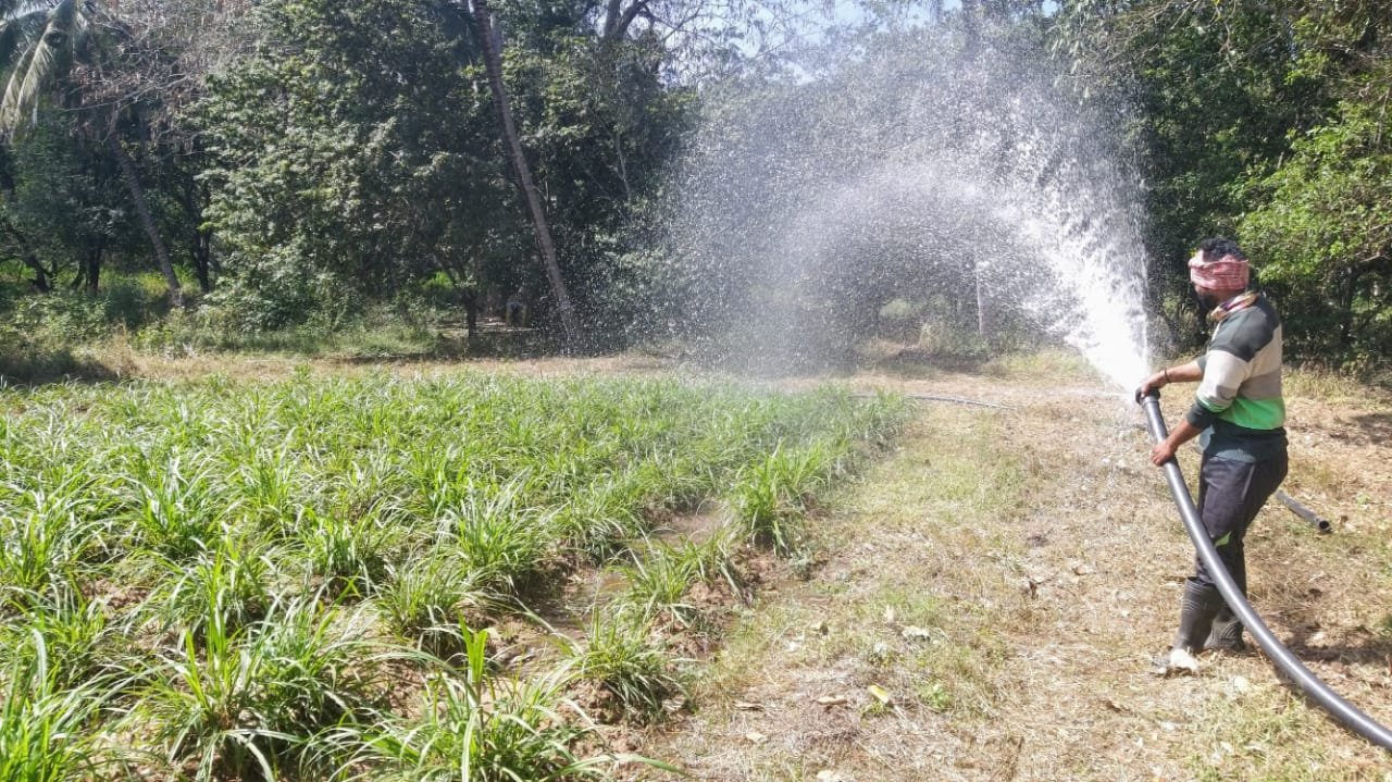 Water and agricultural value being returned to cultivation
