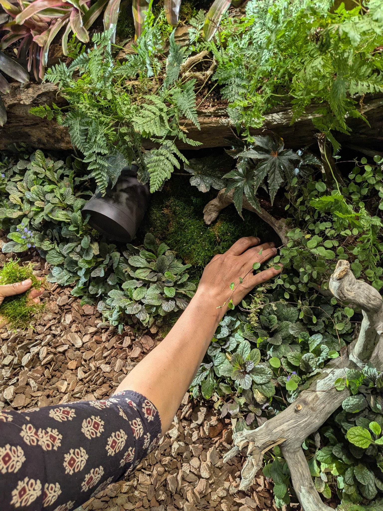 Planting designed for practical long-term care