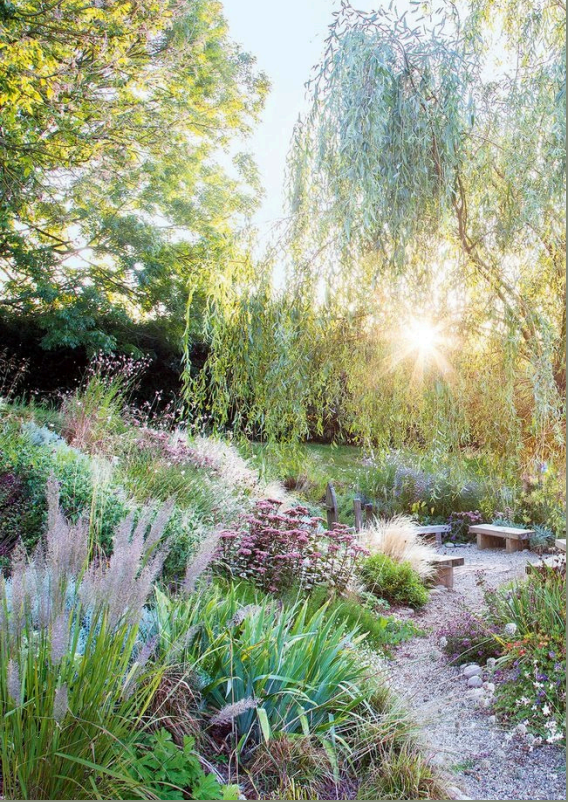 A mature habitat supporting seasonal planting and biodiversity