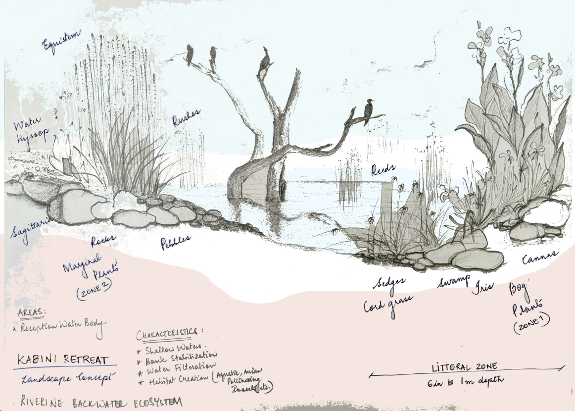 A landscape concept sketch giving every space an ecological role
