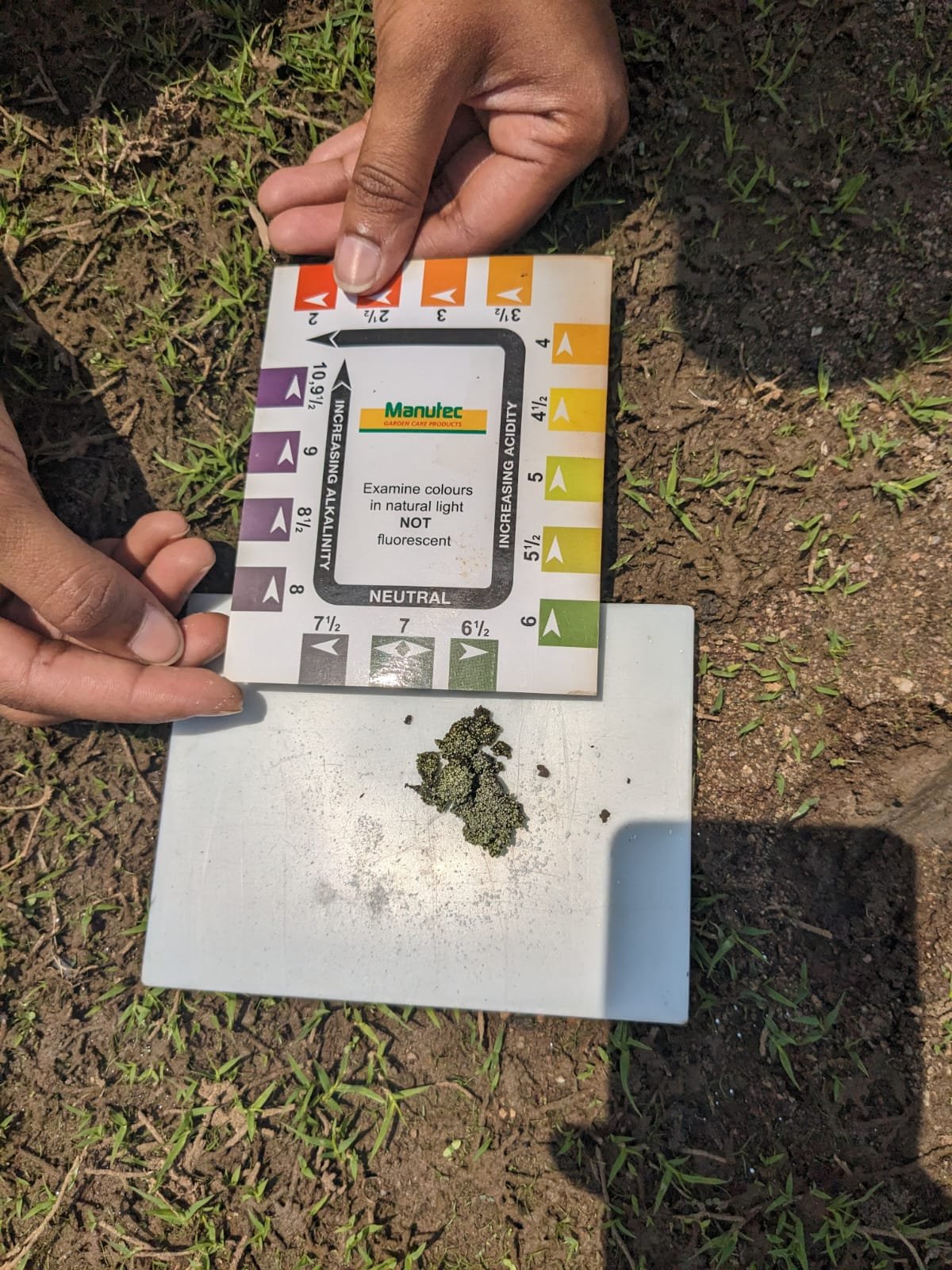 A field soil sample being checked against a pH colour chart